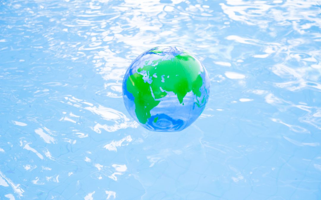 The World Is Your Oyster……